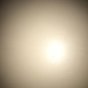 Meet your Posher, Samya